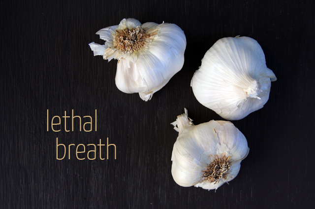 Garlic (Allium sativum) in Mukilteo