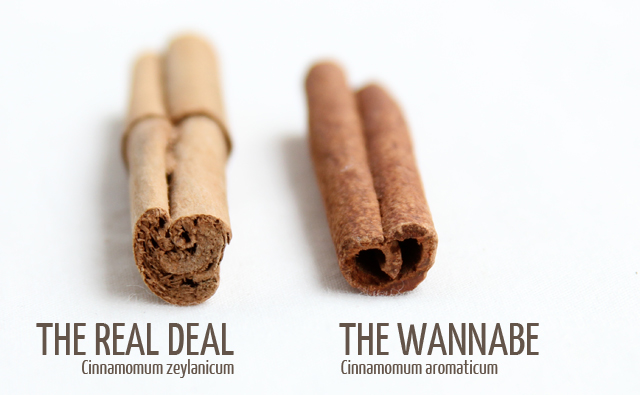 Cinnamon (Cinnamomum zeylanicum) in Snohomish